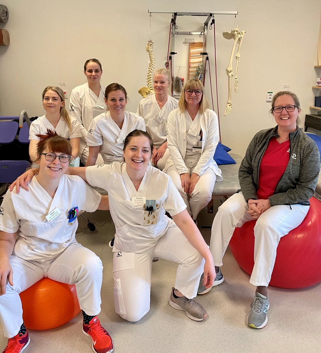 A quote from the brilliant team in Sweden just completing their sessions ”Det är patientens rehabiliteringsprocess och vårt arbete är att stötta den. Heja Bridges!”or“It is the patient's rehabilitation process and our job is to support it. Cheers Bridges! ”<a href="/TracyLFinch/">Prof Tracy Finch</a> <a href="/ElfMarie/">Marie Elf</a>