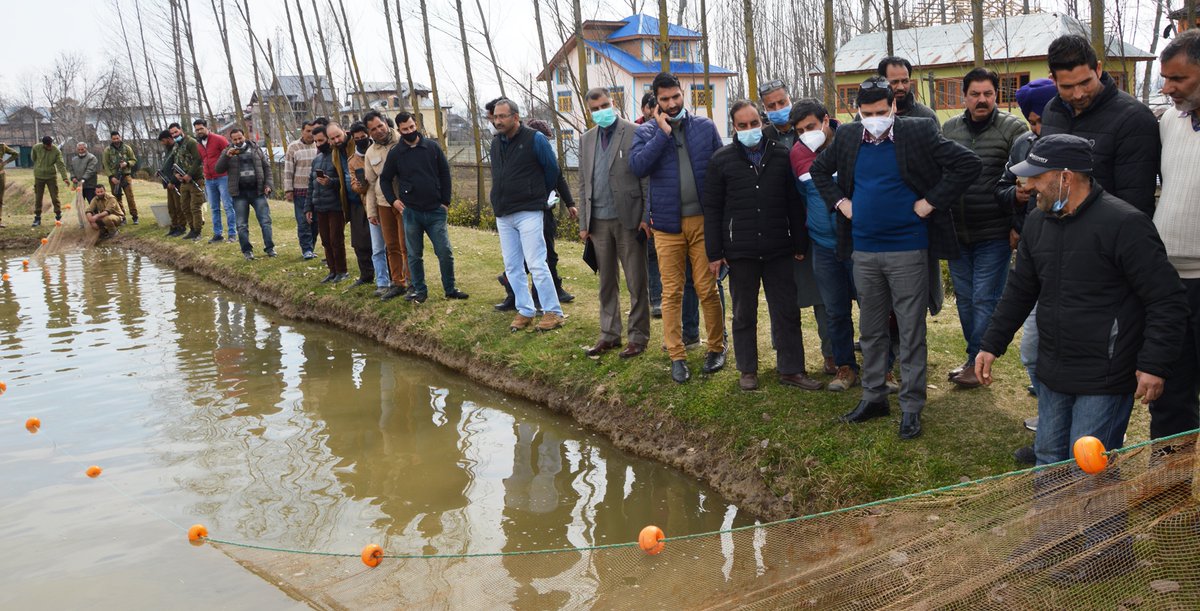 Information & PR, Budgam tweet media