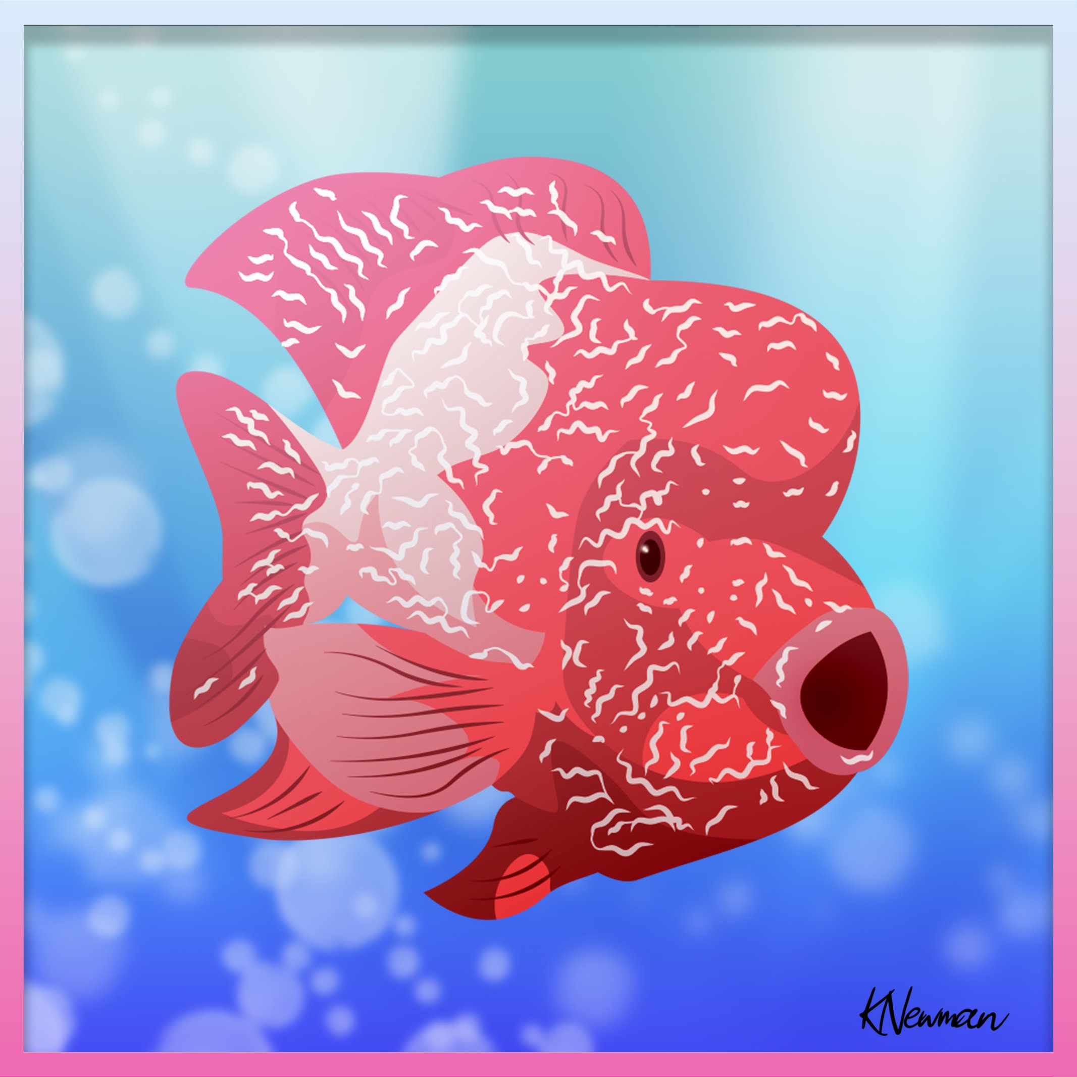 金魚 Twitter Search Twitter