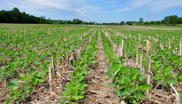 Why no-till farming? this practice reduces soil erosion and the cost of production while increasing productivity and crop yield. Farmers lets adopt conservation agriculture practices and mitigate climate change effects.
