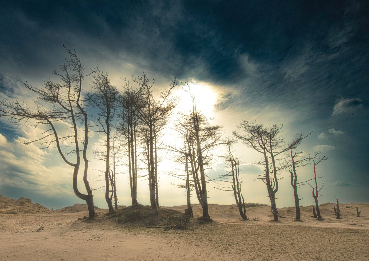 Near sandstorm conditions at a blustery Traeth Llanddwyn as the rain begins to close in , still scraping the sand out of my lug holes @AngleseyScMedia @Ruth_ITV @kelseyredmore #Weather #Anglesey #SAND @ItsYourWales @WalesCoastUK @WalesCoastPath @BBCWthrWatchers @StormHourMedia