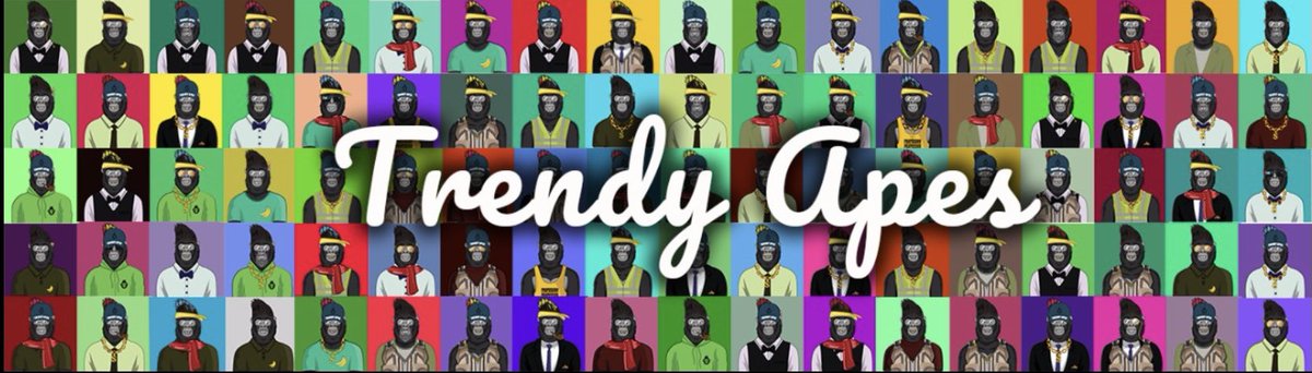 Trendy Apes tweet media