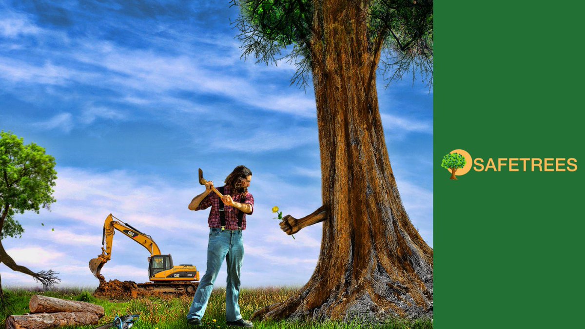 Trees_token's tweet photo. SAFETREES strengthens its Commitment to the Environment with new sustainability partners coming soon. #Trees2Gate #SAFETREES #TreesArmy
@SBF_FTX
Join our movement: https://t.co/2rTBdIiPtP https://t.co/xtnDt51kPg