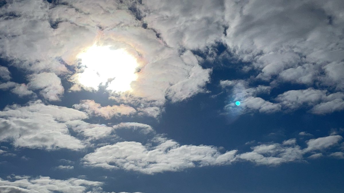 Sakura___Ai's tweet image. なんかこの写真めっちゃ好き