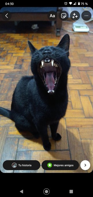 El momento justo para una foto.  Mi Daniel el nene mas bueno del mundo. https://t.co/CWzPpBWI1z<a href="/tag/argentina"class="tags"><span>#argentina</span></a><a href="/tag/saqueos"class="tags"><span>#saqueos</span></a>