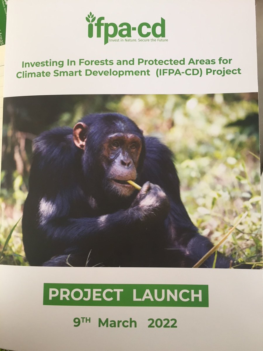 ForestryMgt_MWE's tweet photo. Atheino Margret the National Project Coordinator introduces the project launch. "This project will help increase tree cover through afforestation among other activities, it covers the Albertine Region, West Nile, 7 National Parks." https://t.co/sX3C1HkPHQ