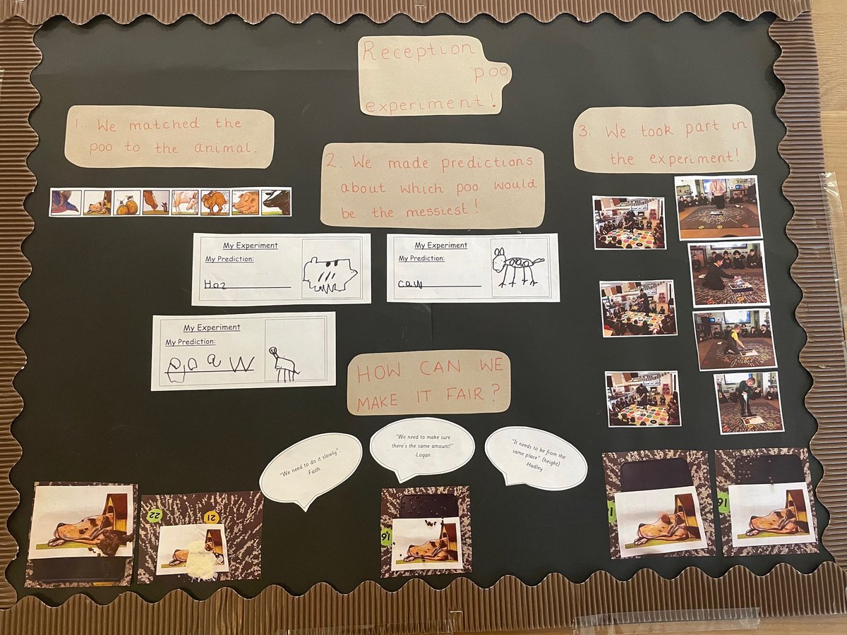 firsprimarysale's tweet photo. #RecLC #RecHT Loved our Science experiment based on The Story of the Mole who knew it was None of his Business. We made predictions, tested it out fairly and found the results! #FirsScience https://t.co/uasepuzXdO