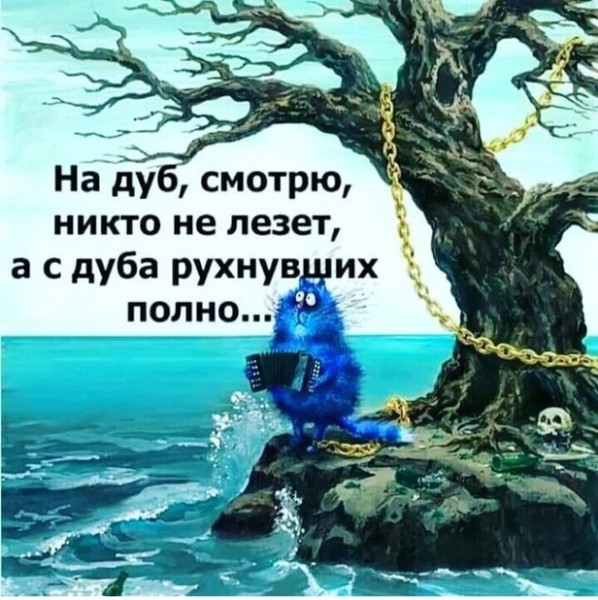 Иван tweet media