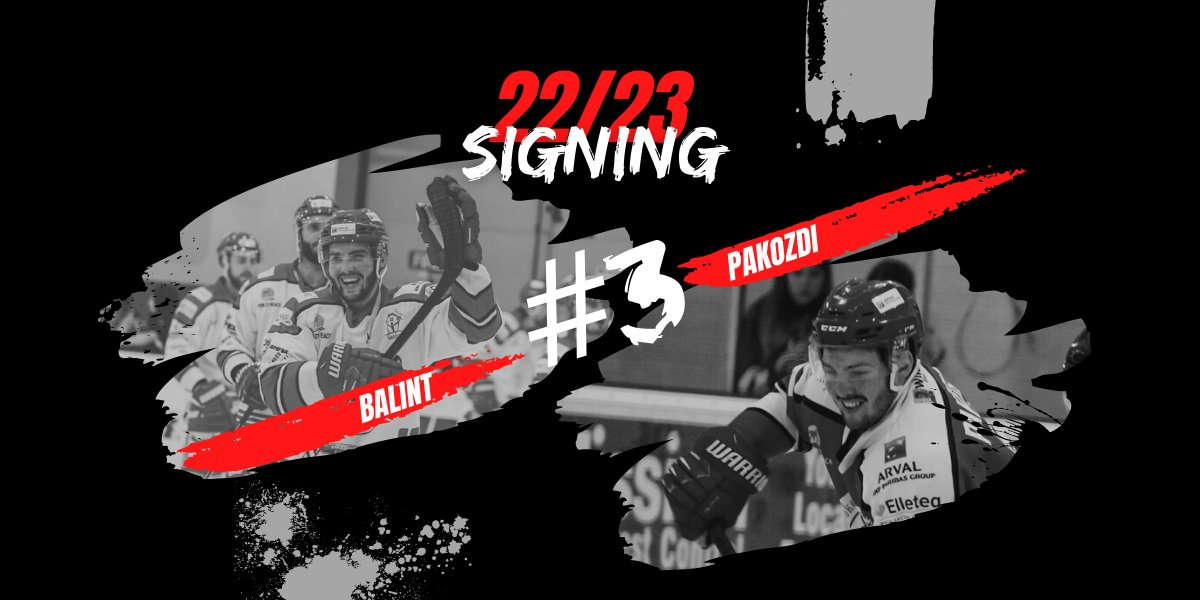 The Bespoke Guardians Swindon Wildcats tweet media