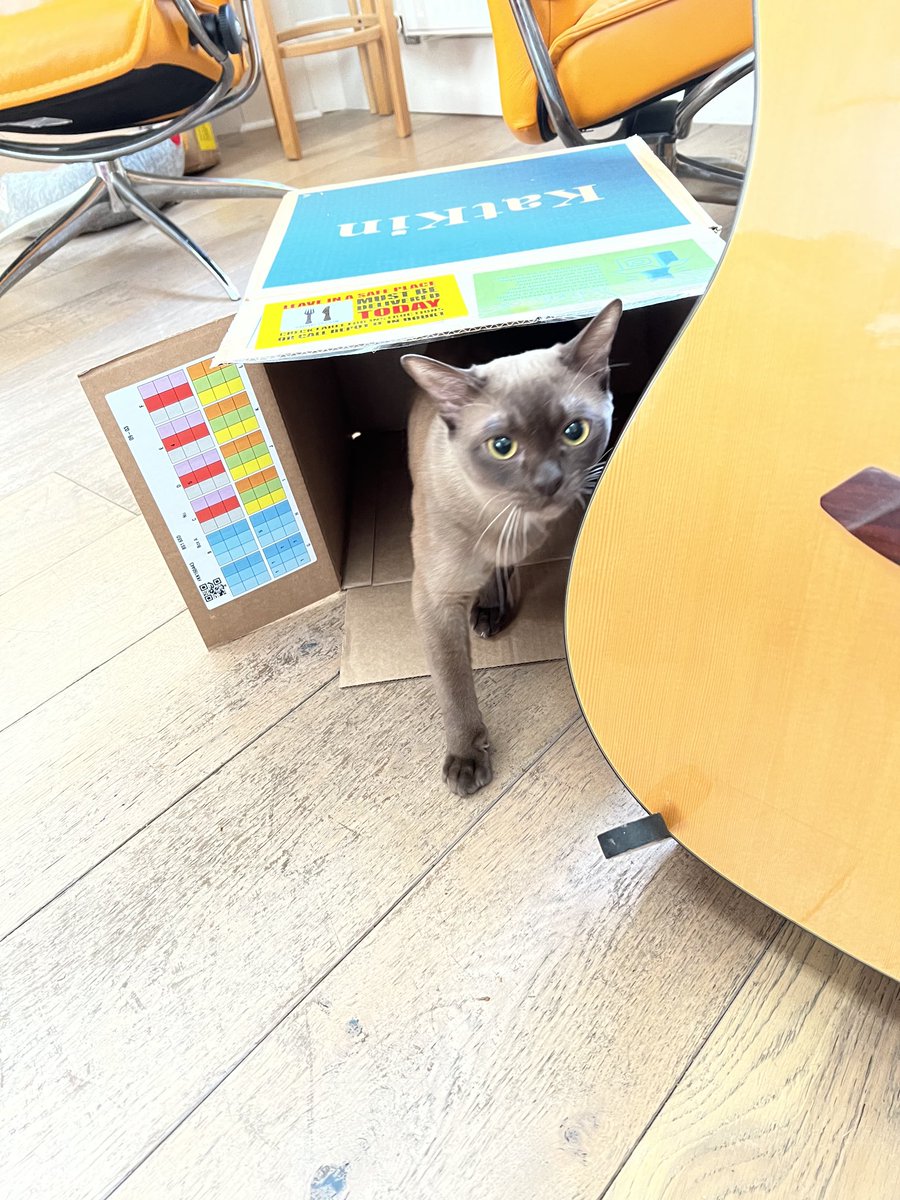 RobPelley's tweet image. Nu #KATKINBOX