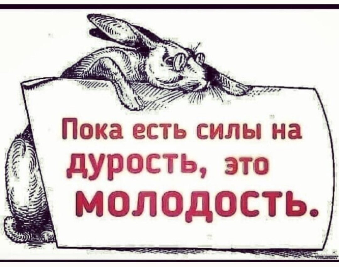 Молодежные шутки