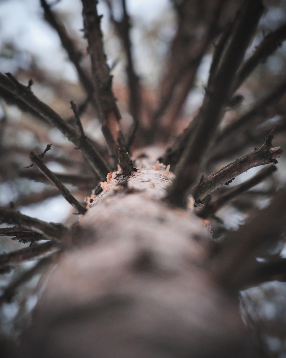 Ville Kankare tweet media