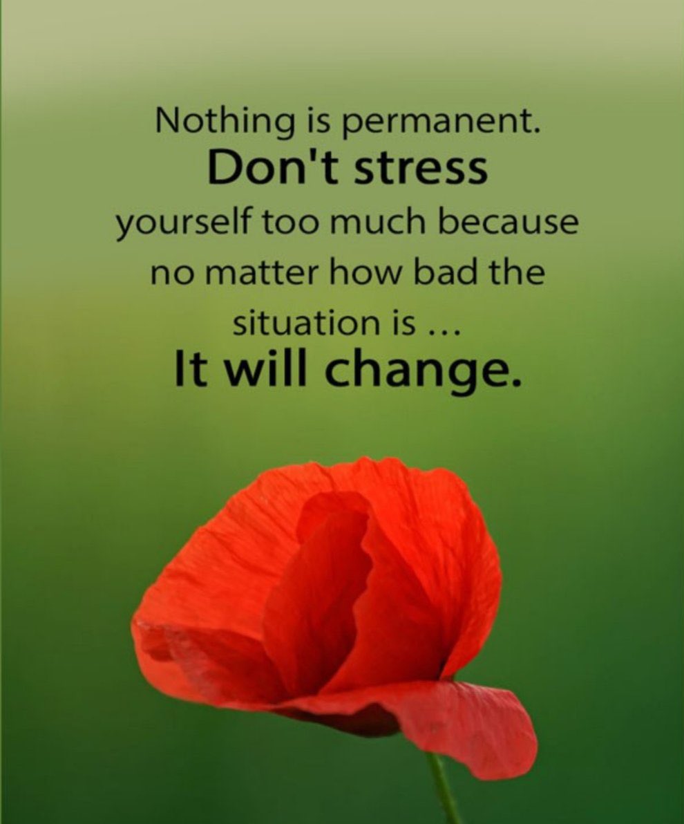 Mental Health Support (@mhsupport2022) on Twitter photo 