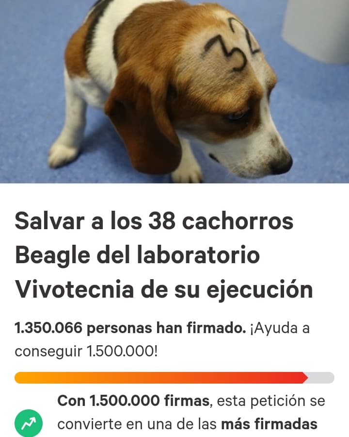 MartinezNevado's tweet photo. #UBMataCachorros .@UniBarcelona .@joanguardia Si ustedes fueran capaces de ignorar más de 1.000.000 de millón de firmas sería una vergüenza histórica y haréis saber que la opinión ciudadana no os importa absolutamente nada.
La ciudadanía se ha pronunciado.
.@PartidoPACMA . https://t.co/J7pL0VwlNw