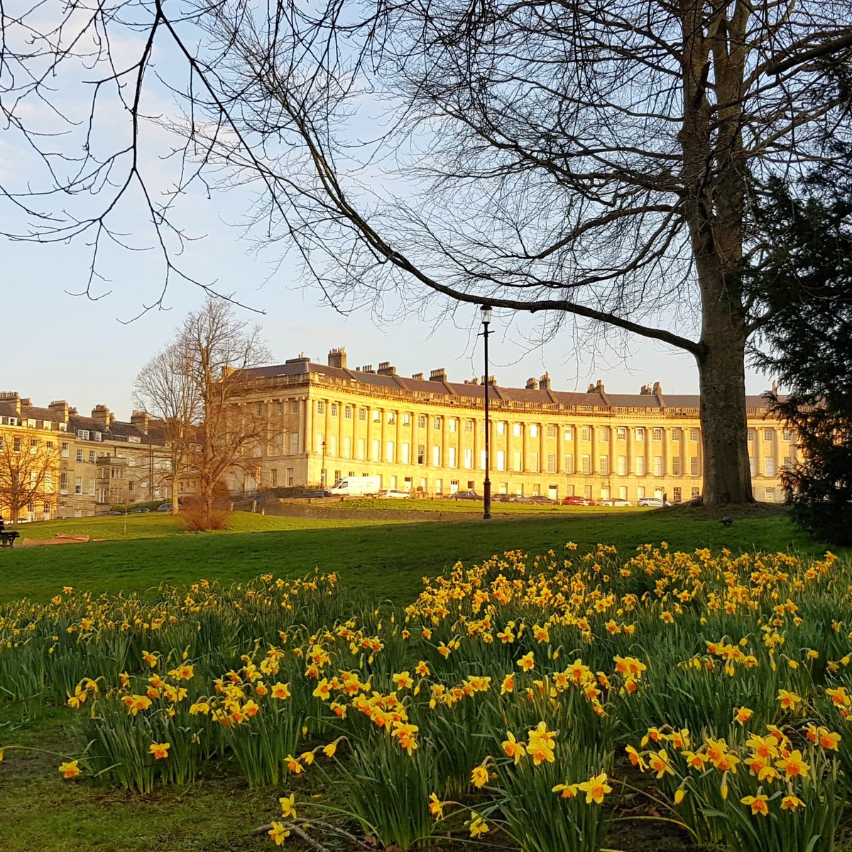 royalcrescent's tweet image. The honey-hued Royal Crescent refuses to be outdone by these nearby hosts of golden daffodils. There must be sunshine in the stone! ☀️🏛🌼
#visitbath #staycation #architecture #daffodils #springflowers #spring
