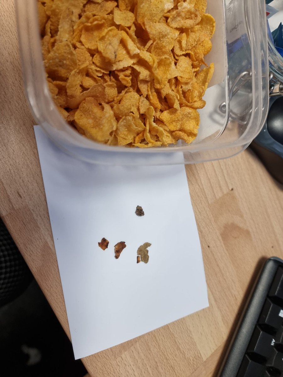 happyemily's tweet photo. @KelloggCompany Quality control not on point at the moment? https://t.co/hasLlHuOi5