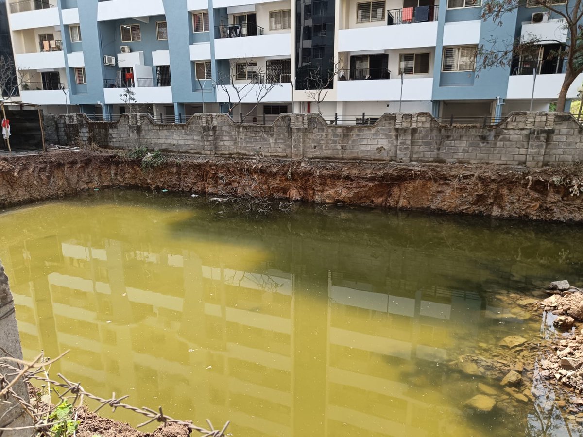 dusadsumit's tweet photo. @PMCPune Builder/owner didn't finish the work which is leading to water clogging in the plot between Kumar primrose and #Gracia society in #Kharadi.This has become breeding site for #Dengue mosquito, snakes &amp; risky. Need ur urgent action. @kumar_chs @KhswaPune @SurendraPathare https://t.co/4uxUhmfADN