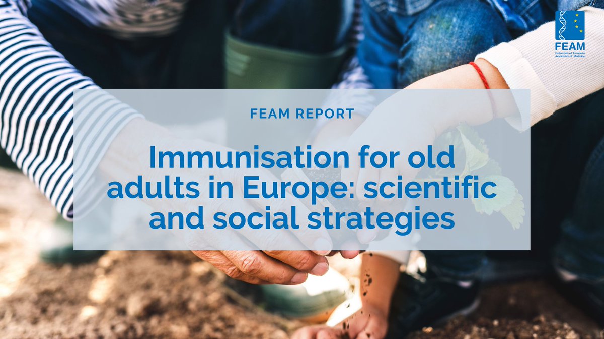 FedEuroAcadMed's tweet photo. 📄Our "Immunisation for old adults in Europe: scientific and social strategies" report has now been published. The document brings together recommendations in the field of adult #vaccination in the EU: https://t.co/rEzKBWAVLK

Report's main recommendations 🧵👇 https://t.co/fWccf0XgMw