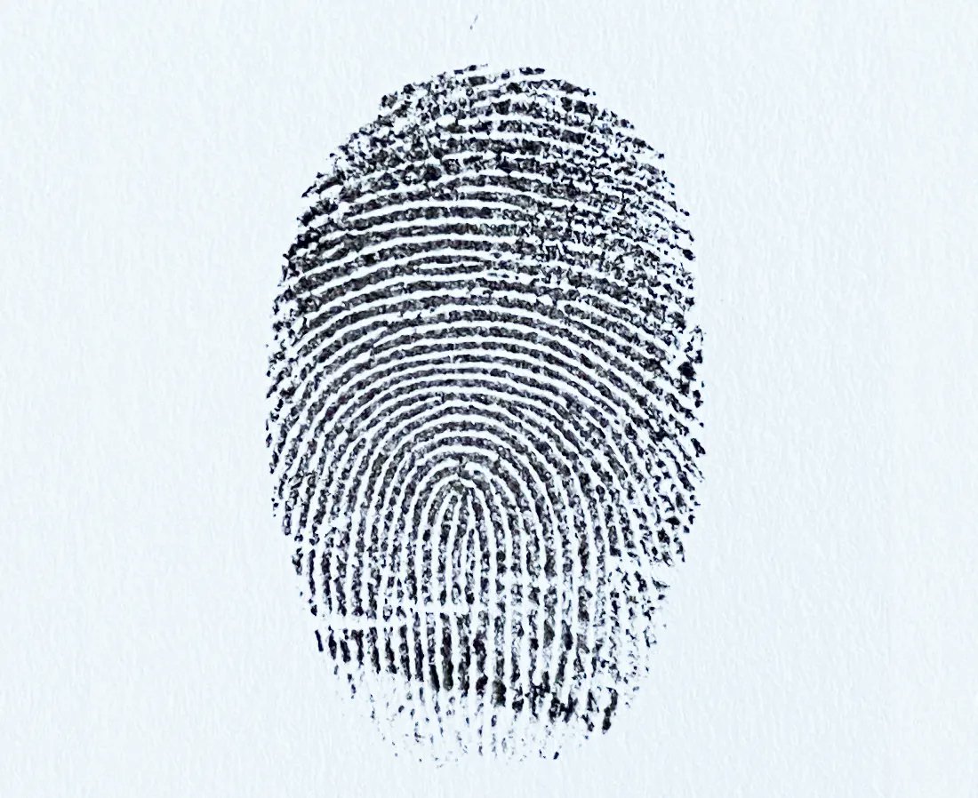 The longest English words that do not repeat a letter are 'uncopyrightable' (something for which it is not possible to secure copyright) and 'dermatoglyphics' (the study of skin markings). 
#surelanguages #english #languages #facts