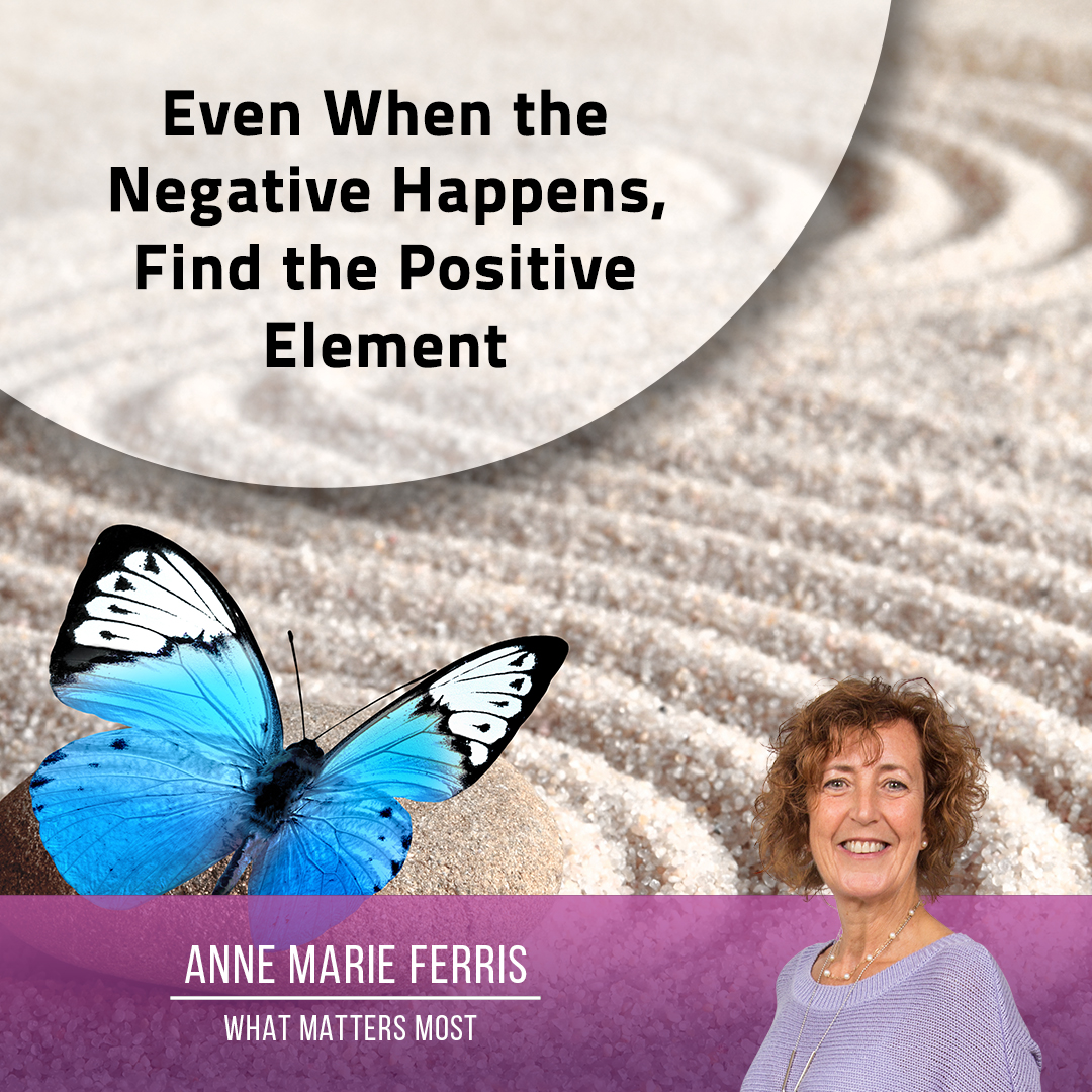 Anne Marie Ferris tweet media