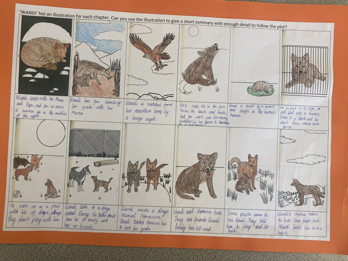 natashadenham's tweet photo. One thing my class has loved about @FavelParrett ‘s Wandi is the illustration to mark the beginning of each chapter. We tried summarising the whole book using the chapter illustrations as our guide @Wandi_Dingo #PurposefulPedagogies #NovelStudy https://t.co/XhU9jHhC3q