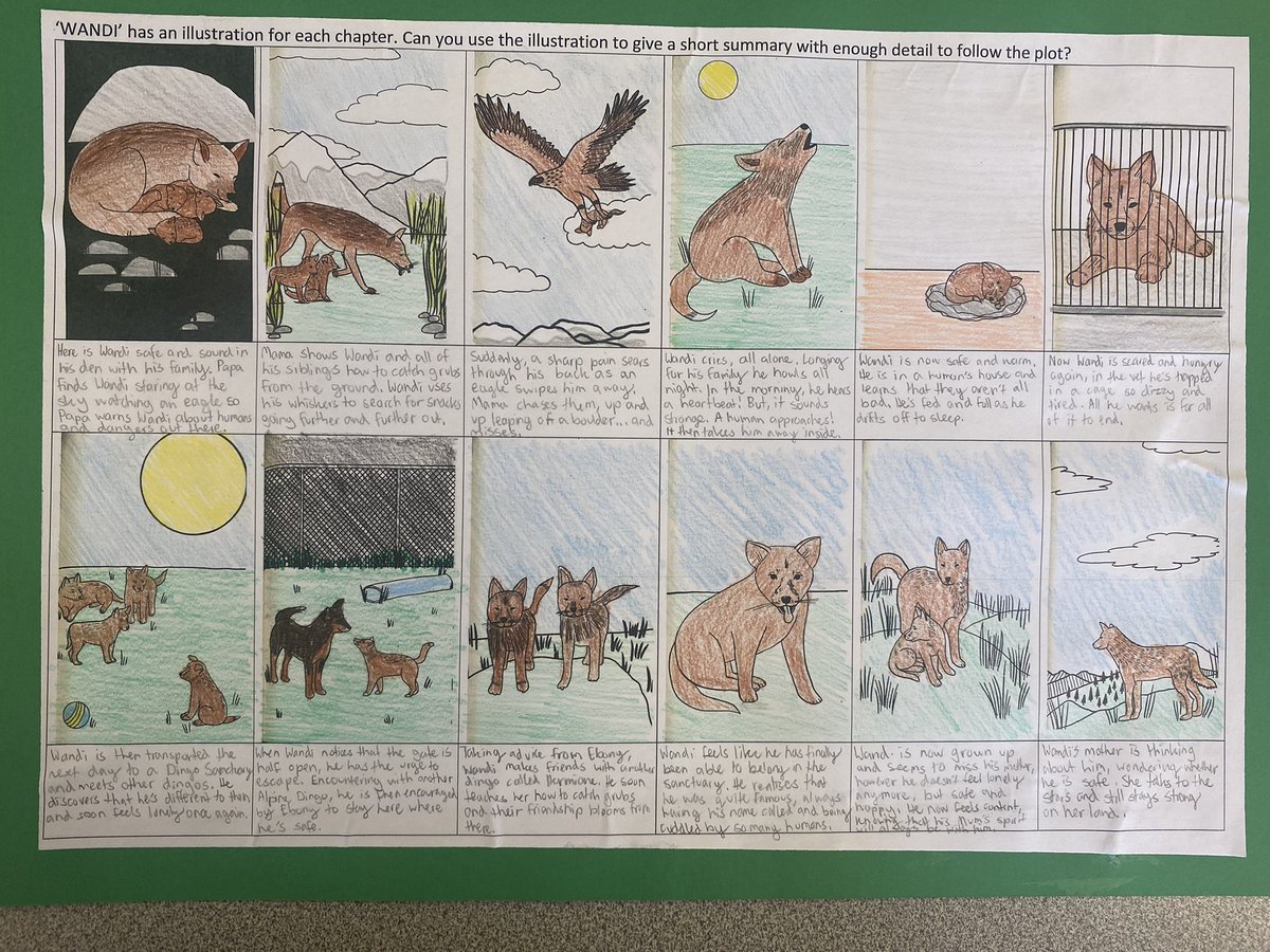 natashadenham's tweet photo. One thing my class has loved about @FavelParrett ‘s Wandi is the illustration to mark the beginning of each chapter. We tried summarising the whole book using the chapter illustrations as our guide @Wandi_Dingo #PurposefulPedagogies #NovelStudy https://t.co/XhU9jHhC3q