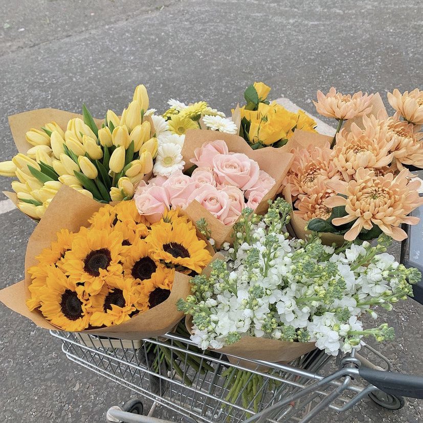 pradasunset's tweet photo. good morning 🌻🌿 https://t.co/fydyVV3QMA