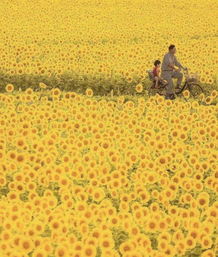 Buongiorno ☀️ 🌻🌈