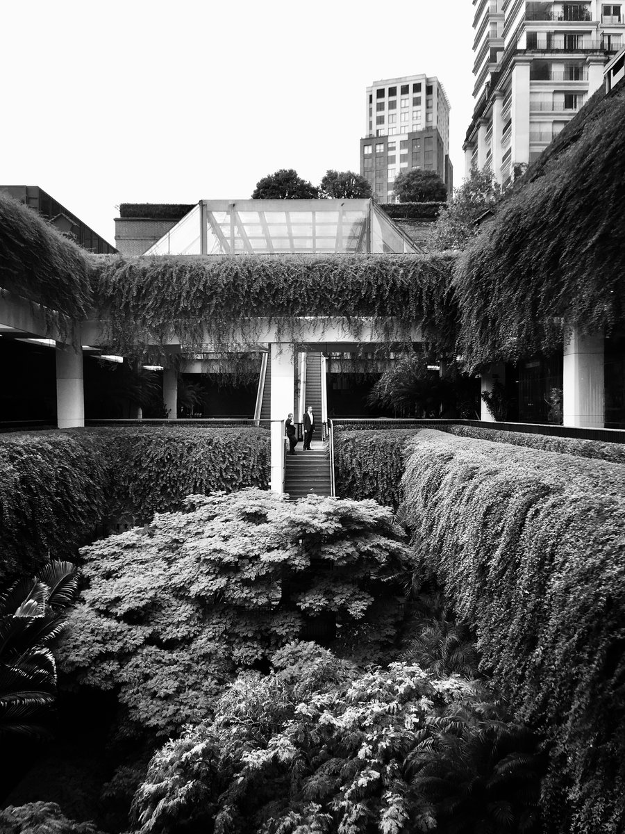 GM
Concrete jungle🌱🌿🍂
#photographynft #NFT #buildings #photography #photooftheday #photographer