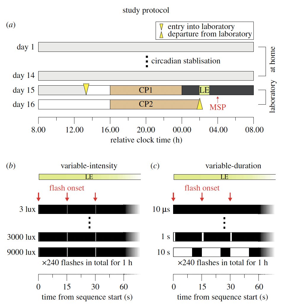 Many years in the making, now finally out:

Our paper "Duration invariance and intensity dependence of the human circadian system phase shifting response to brief light flashes" with <a href="/Daniel_S_Joyce/">Daniel S. Joyce</a> and Jamie Zeitzer is now out in @rsocpublishing.

1/3