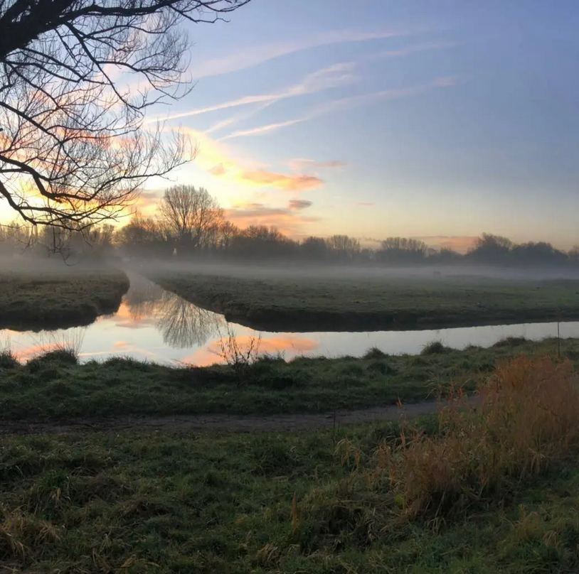 Hazen, egels en de rietorchis. Voor hen is in de randstad steeds minder plek. Ze moesten verhuizen vanwege nieuwbouw in Rijswijk-Zuid. Nu wonen ze in Pasgeld, op 'n te klein stukje - als ze het verkeer al overleven.😪 

Bouw niet in het groen! Stem op 16 maart voor natuur. Zie👆