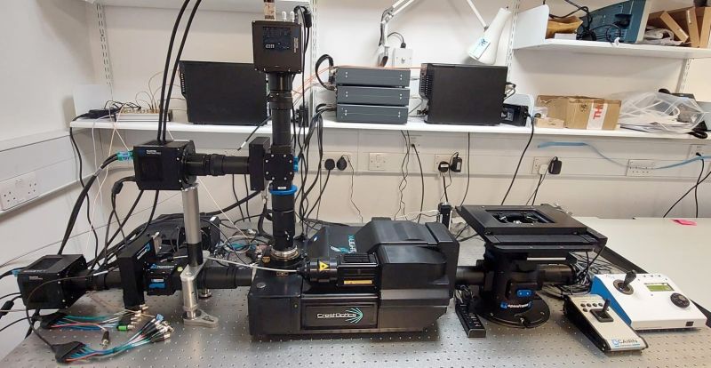 CrestOptics (@crestoptics) on Twitter photo What an incredible installation by <a href="/Cairn_Research/">Cairn Research</a> using the new modular Inverted Microscope! CrestOptics X-light V3 coupled with 4 <a href="/Photometrics/">Teledyne Photometrics</a> Kinetix cameras and <a href="/ChromaVT/">Chroma Technology</a> Corp. LDI laser. Looking forward to some great data from the Bayaktar team at <a href="/sangerinstitute/">Wellcome Sanger Institute</a>! What an incredible installation by <a href="/Cairn_Research/">Cairn Research</a> using the new modular Inverted Microscope! CrestOptics X-light V3 coupled with 4 <a href="/Photometrics/">Teledyne Photometrics</a> Kinetix cameras and <a href="/ChromaVT/">Chroma Technology</a> Corp. LDI laser. Looking forward to some great data from the Bayaktar team at <a href="/sangerinstitute/">Wellcome Sanger Institute</a>!
