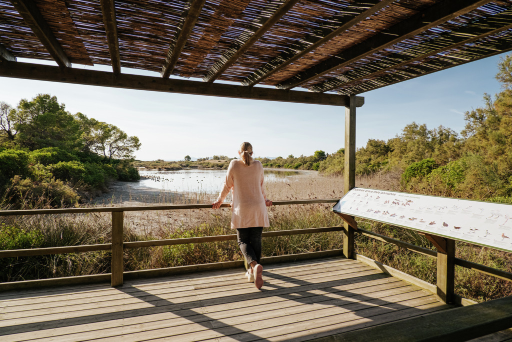 ValenciaCity's tweet photo. 🌿 Relax on a boat ride, go on a bike tour, taste a good paella... there are many ways to enjoy Albufera Natural Park.
#VisitValència

https://t.co/jvmOCQhT7X https://t.co/LrxLl4fdSQ