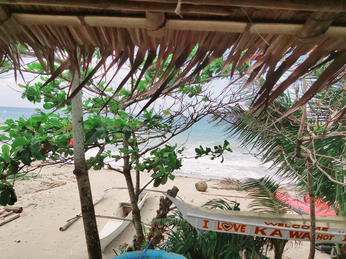 𝘽𝙚𝙗𝙚 tweet media