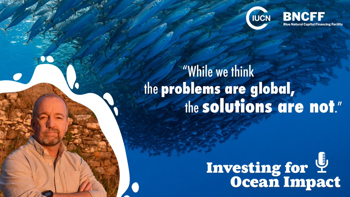 IucnOcean's tweet photo. Ideas to combat climate change &amp; biodiversity loss should come from the bottom up. Can cryptocurrency &amp; blockchain help small innovative projects that struggle to get funding because of size or location?

Hear @coastalvalues in #InvestingForOceanImpact: https://t.co/o18Xqpk4pL https://t.co/g01MnH1qWg