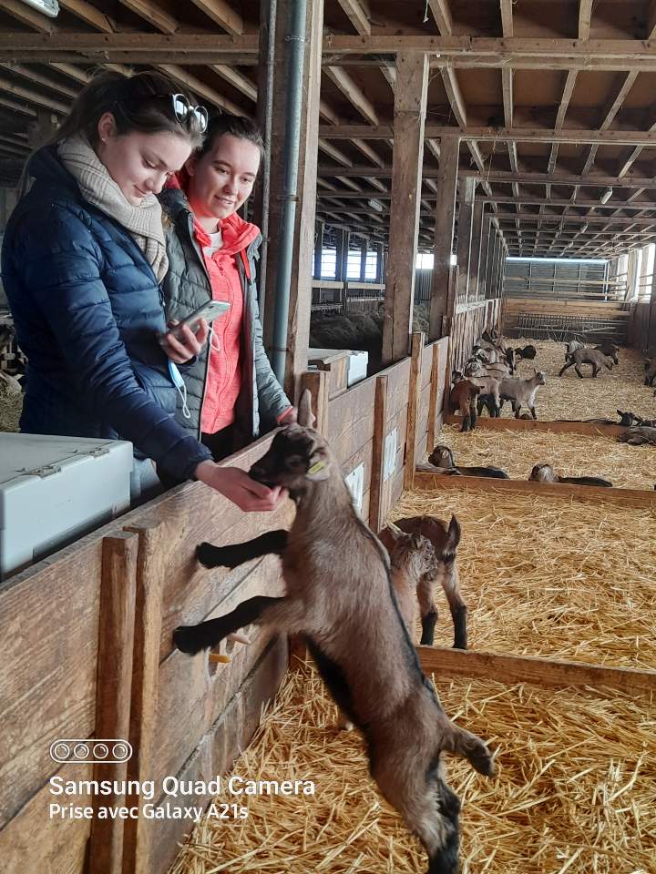 GUILBAUD Catherine tweet media