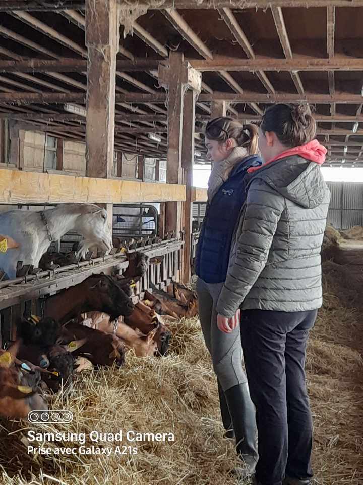 GUILBAUD Catherine tweet media