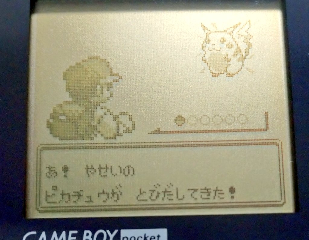 تويتر 安也 على تويتر この二人だけでポケモン極めようと思って他のポケモン捕まえてないんだけど タイプ相性的に最初のジム戦 タケシ で詰むのが目に見えてるのでめちゃくちゃ地道にレベル上げしている