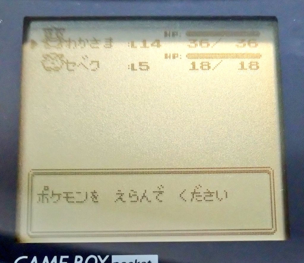 تويتر 安也 على تويتر この二人だけでポケモン極めようと思って他のポケモン捕まえてないんだけど タイプ相性的に最初のジム戦 タケシ で詰むのが目に見えてるのでめちゃくちゃ地道にレベル上げしている