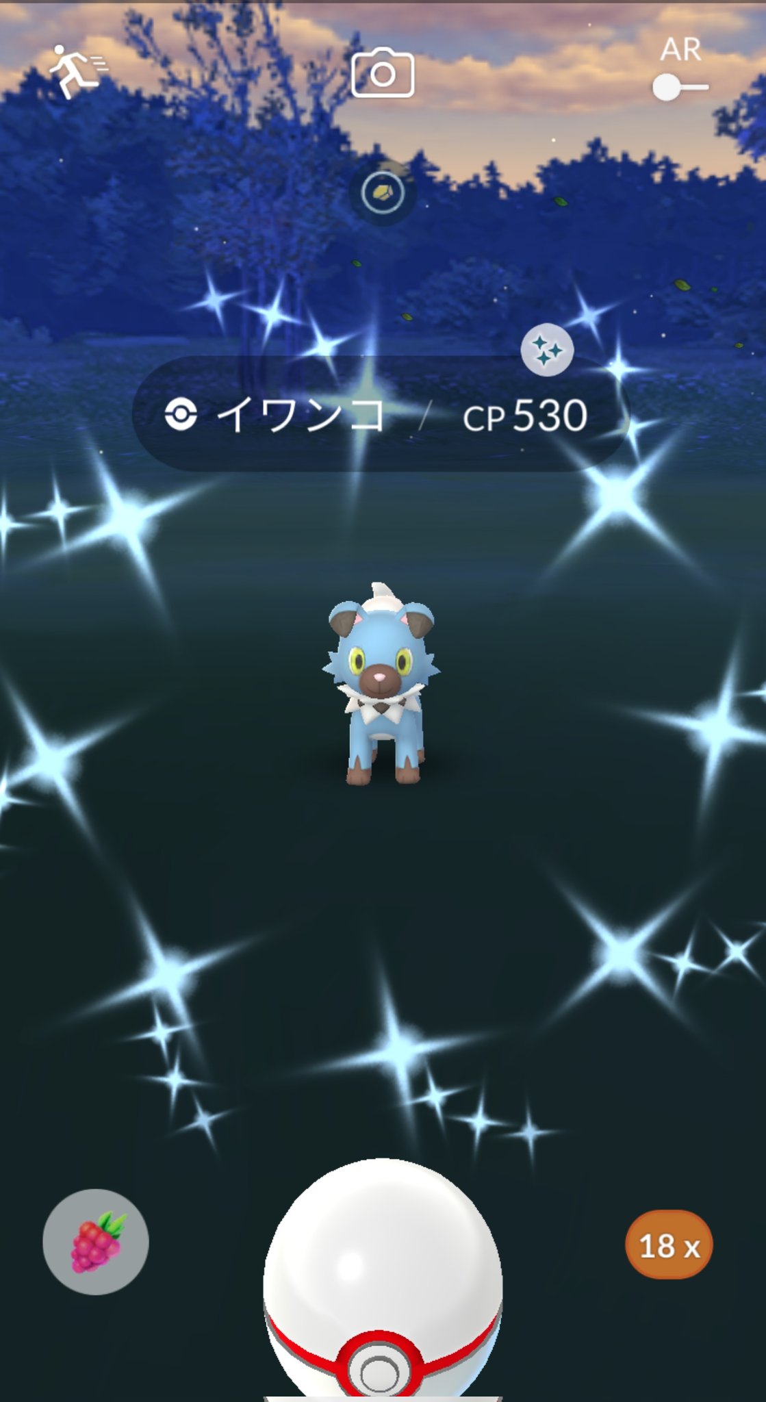 色イワンコ Twitter Search Twitter