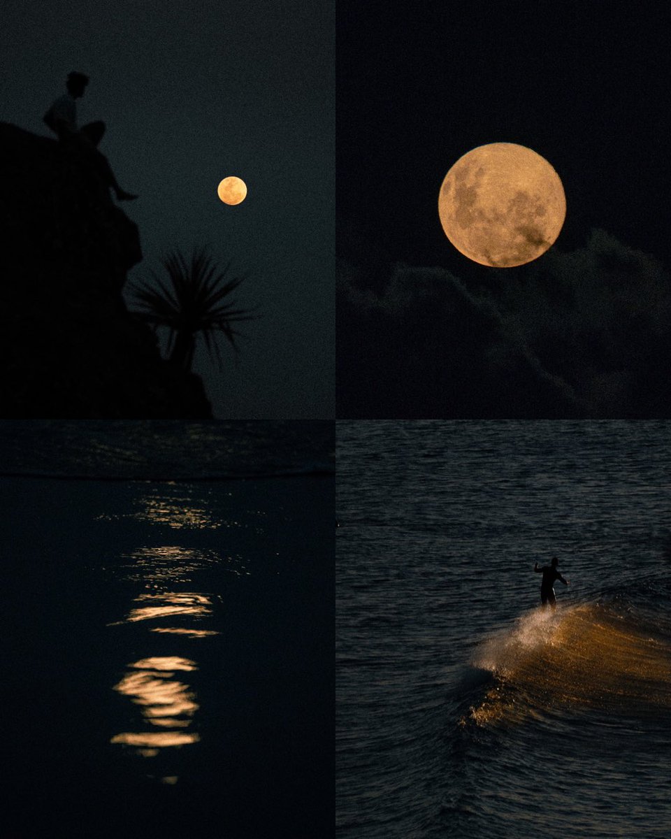 blue hour + moonlight 🌙