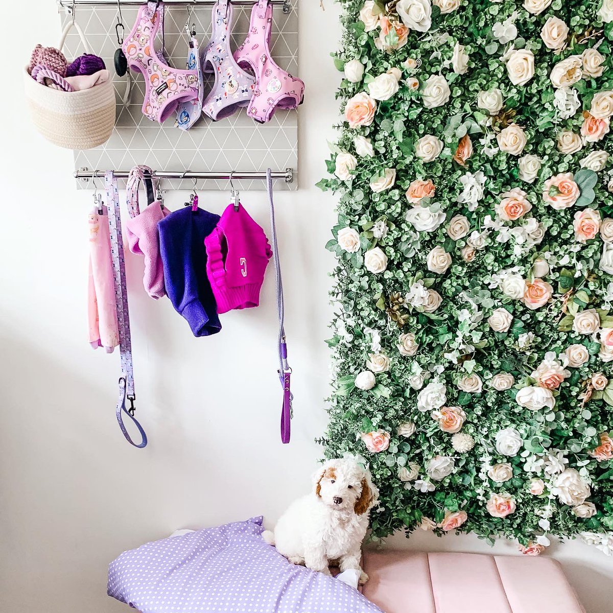 Pupdrobe tweet media