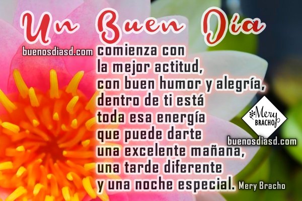 H💓LAA
Mis buenos amigos...
Muy buenos diaaasss⛅🌈
Siempre estará el sol en tu vida cuando pienses en positivo.🌞
Bendecido miércoles🌿
🤗🤗☕☕