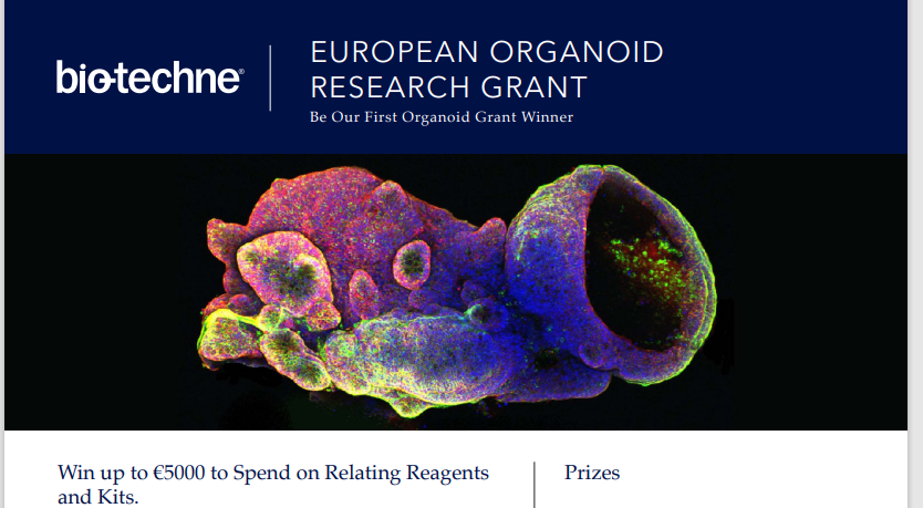 DrKool15's tweet photo. Only 9 more days left to apply for the Bio-Techne organoid grant, https://t.co/nVAs3I4Ngn  
#organoids #grant #biotechne #applynow https://t.co/GX2wIQ1CRW