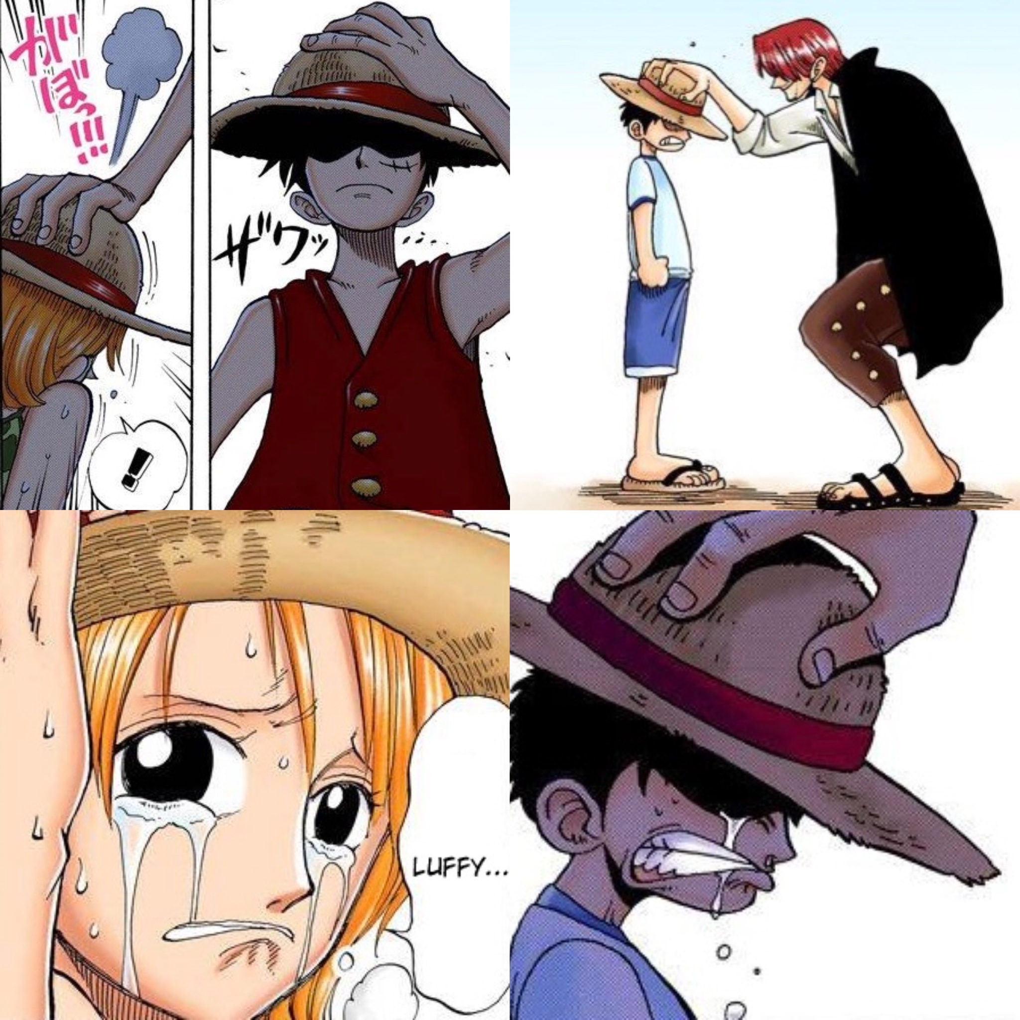 Luffy gives his hat to Nami 