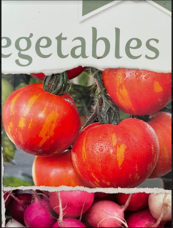 Our Monday literacy group got some down time and planted Tigger Tomatos, have to wait and see how these turn out. <a href="/knoxacademy/">Knox Academy</a> <a href="/KnoxSupport/">Knox Academy Pupil Support</a> <a href="/KnoxParents/">Knox Academy Parent Council</a>