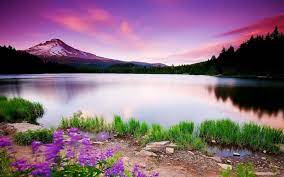 srav_test tweet media