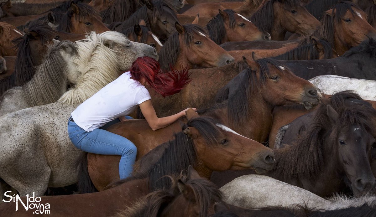 Onte anunciáronse, no <a href="/ajuntpeniscola/">Ajuntament Peníscola</a> , os gañadores do Concurso Fotográfico “Dones” onde a miña foto “Aloitadora” acadou o tercer premio. facebook.com/35262806154322…