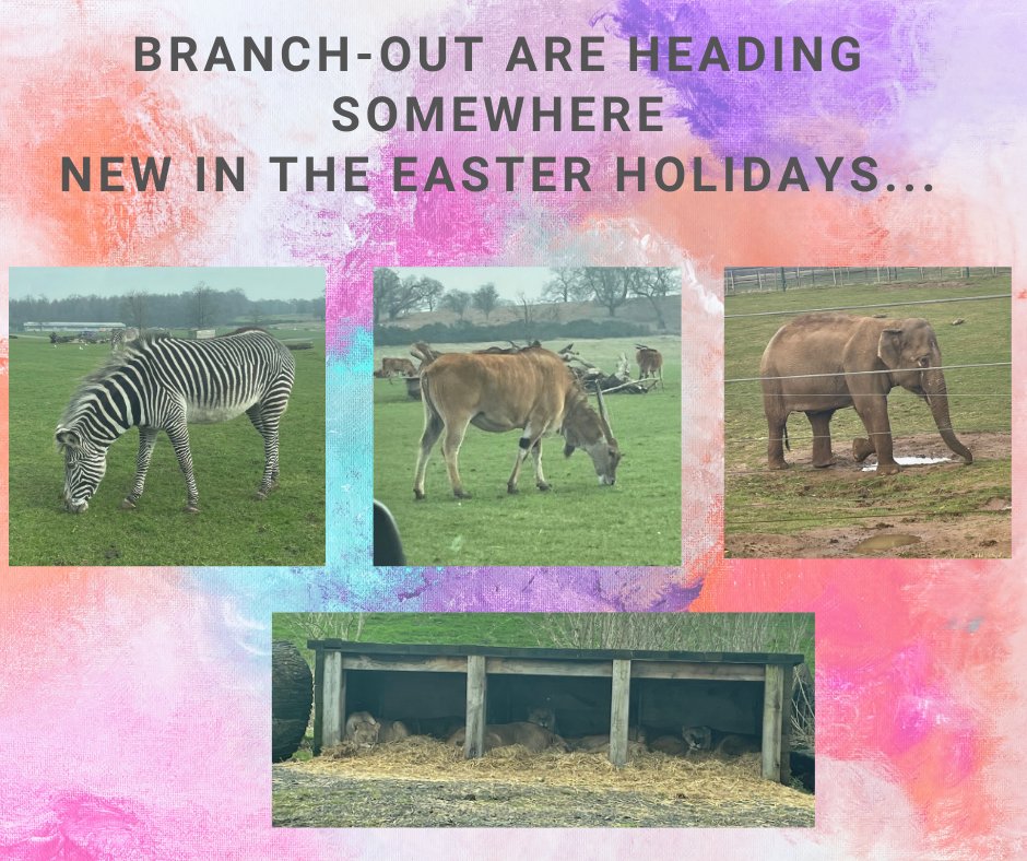 Woburn Safari park we are so excited to visit🐒🦁🐘

Our 5-11 age group have the opportunity to go to the Safari Park, don't forget to book in!😆