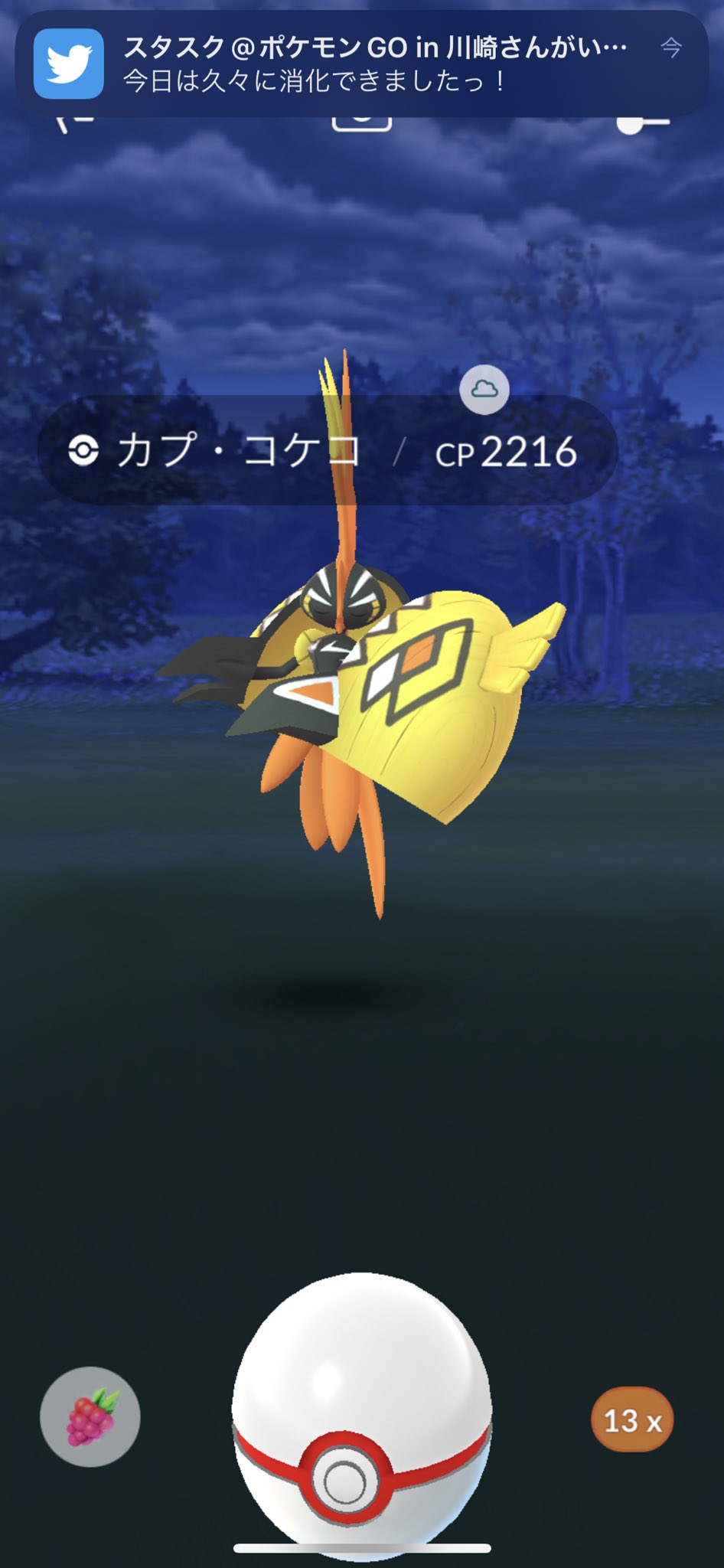 Mちゃん ポケgo専用垢 また逃げられた 嫌いになりそう 誰かコツ教えてください ポケモンgo カプコケコ T Co D8kjtgdgo7 Twitter